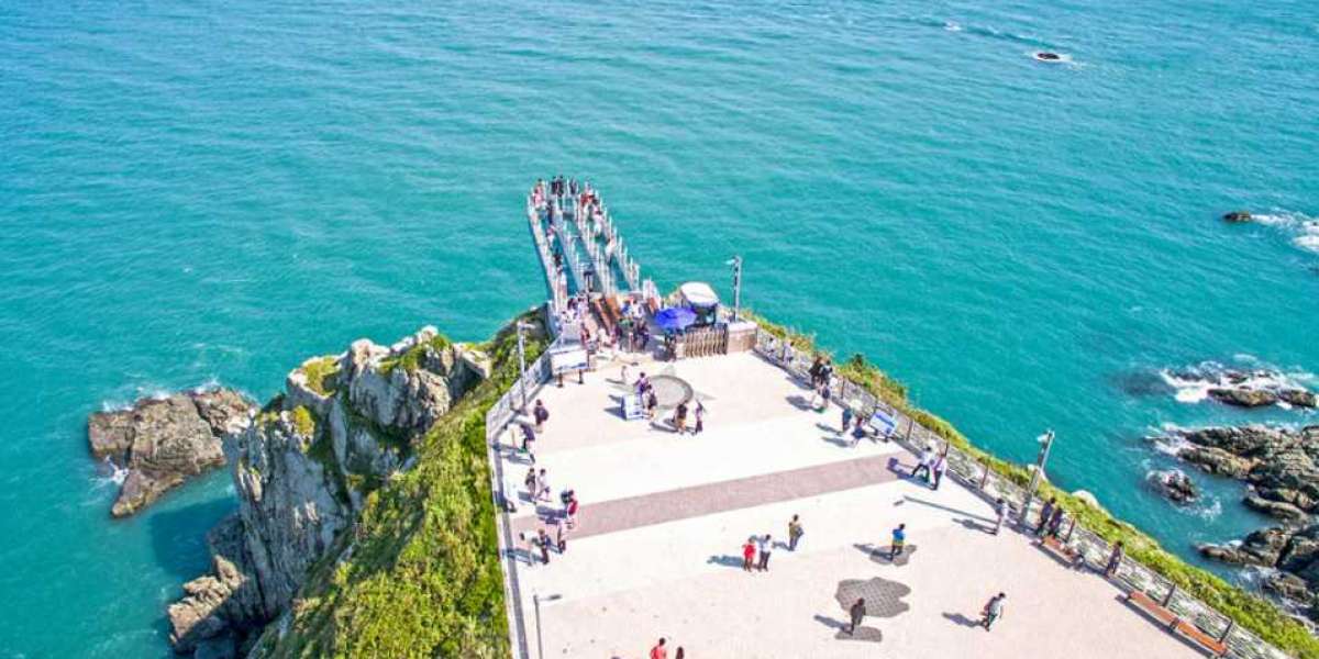 Exciting Things to Do in Busan You’ll Love