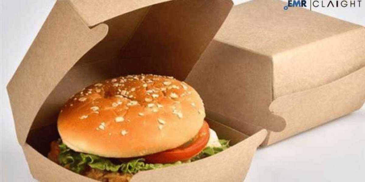 Packaged Burgers Market Size, Share & Industry Growth and Forecast 2025-2034