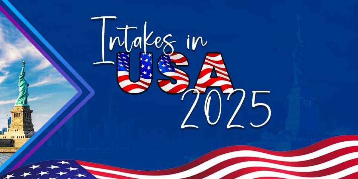 Which Intake is Available for the USA Now? A 2025 Guide for Indian Students