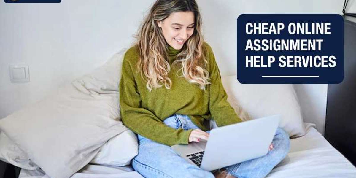 What Do You Need to Know About Assignment Help?