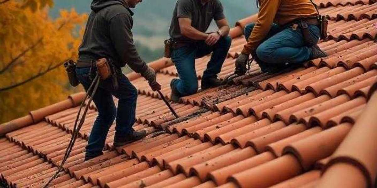 Roof Pro Ltd: Your Trusted Partner for Roof Repairs Dublin