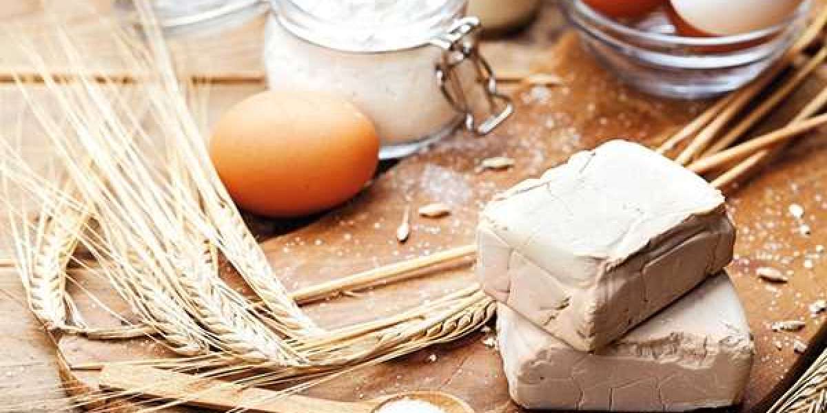 Yeast Ingredients Market 2031: Growth Factors, Competitive Landscape, and Key Coverings
